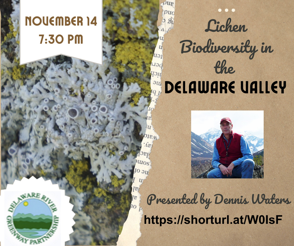 Dennis Waters Lichen Biodiversity